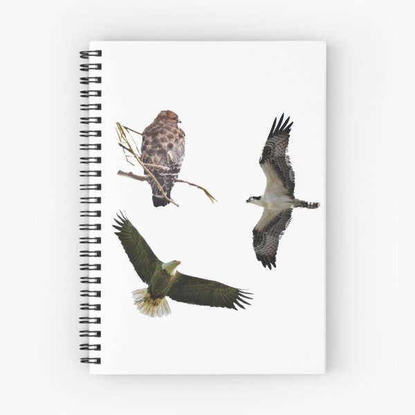 Item preview, Birds of Prey Sticker Pack II designed and sold by LeslieMac713.