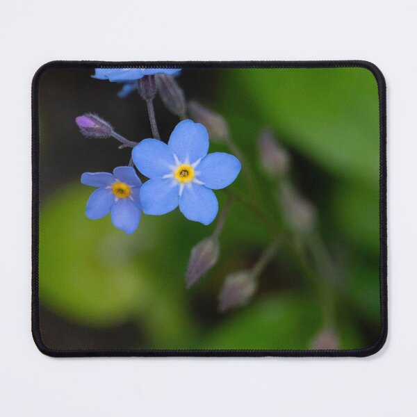 Item preview, Don't Forget designed and sold by Gralyn Boyd.