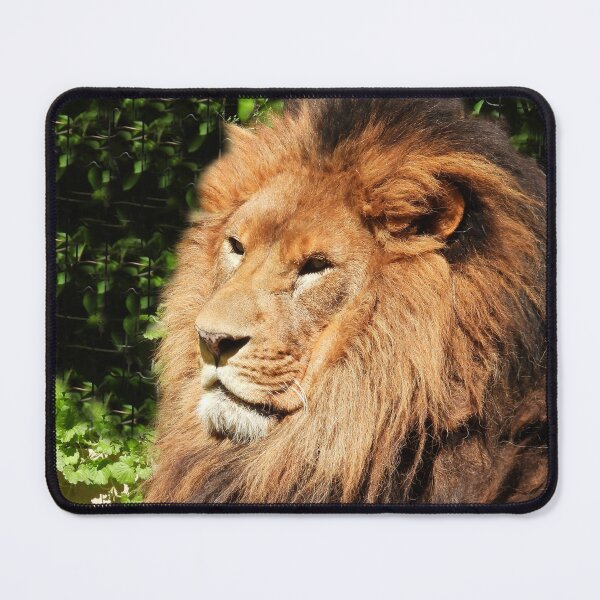 Item preview, The King of the Jungle designed and sold by PhotosBySusanne.