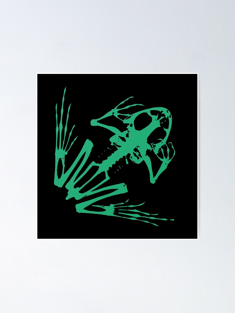 "Green Frog Skeleton" Poster for Sale by tragicgraphics Redbubble