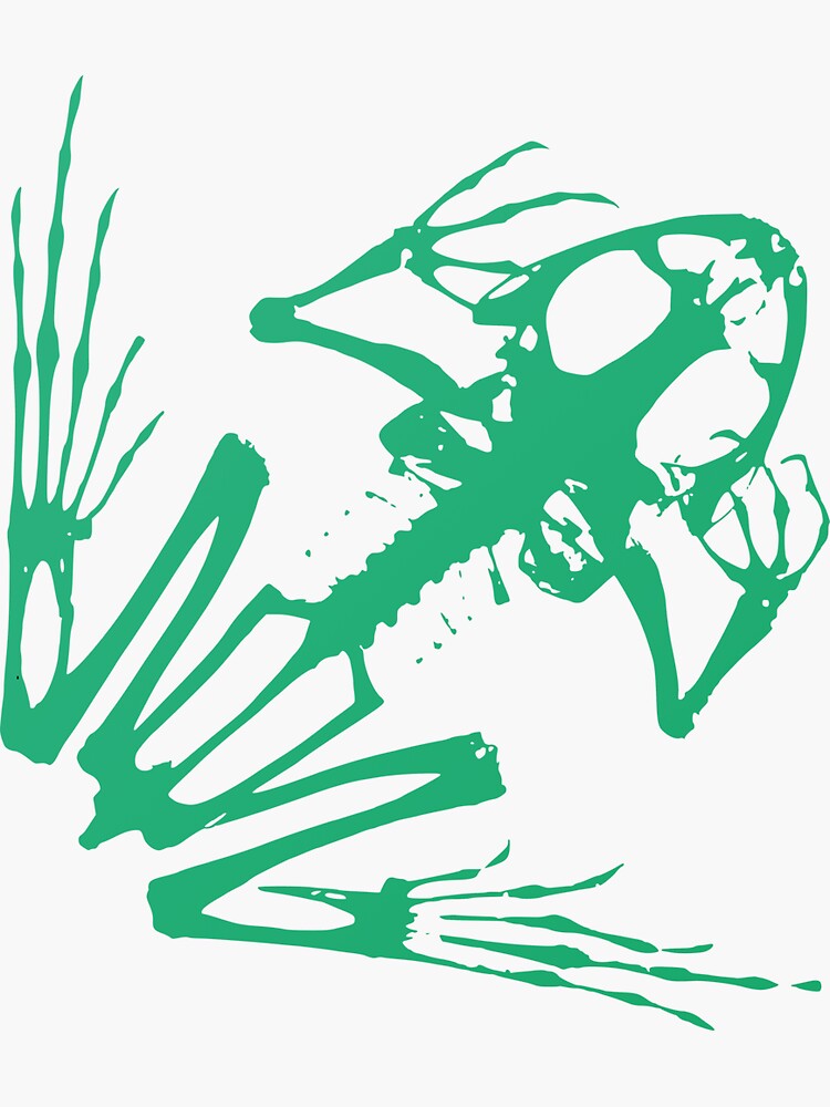 "Green Frog Skeleton" Sticker for Sale by tragicgraphics Redbubble