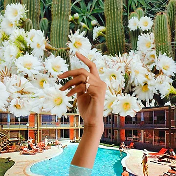 Artwork thumbnail, Pool Party by _InTheGreenhouse
