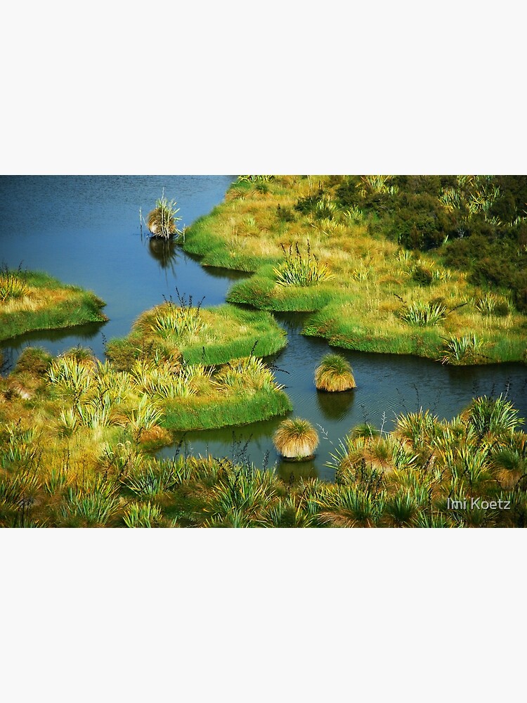 "The Swamp..........New Zealand" Poster by imikoetz Redbubble