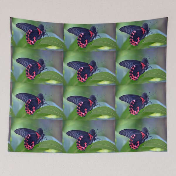 Item preview, Butterfly designed and sold by Savannah Gibbs.