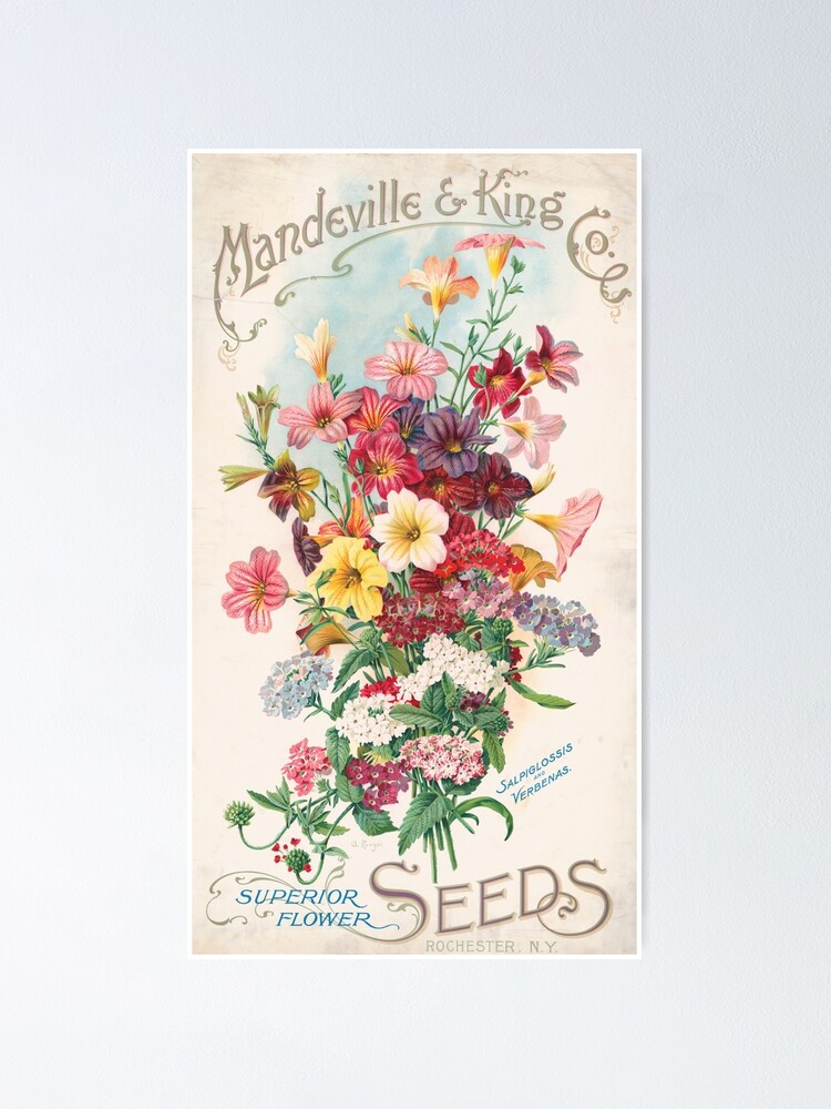 "Vintage Flower Poster" Poster for Sale by PDArtiste Redbubble