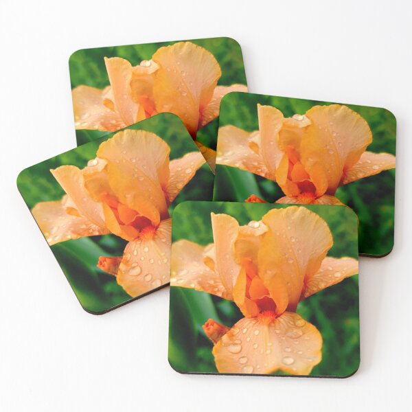 Artikelvorschau, Orange Iris Raindrops entworfen und verkauft von Vicky Walter.
