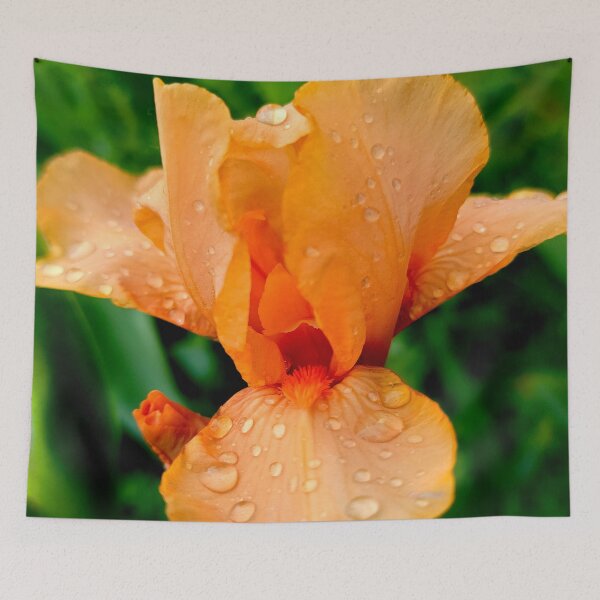 Item preview, Orange Iris Raindrops designed and sold by Vicky Walter.