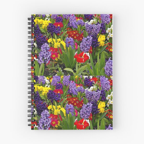 Aperçu de l'œuvre Jacinthes et Primulae B créée et vendue par VikingVisual.