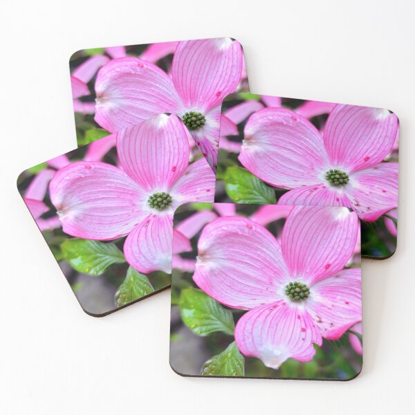 Item preview, Dogwood designed and sold by Vicky Walter.