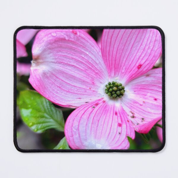 Item preview, Dogwood designed and sold by Vicky Walter.