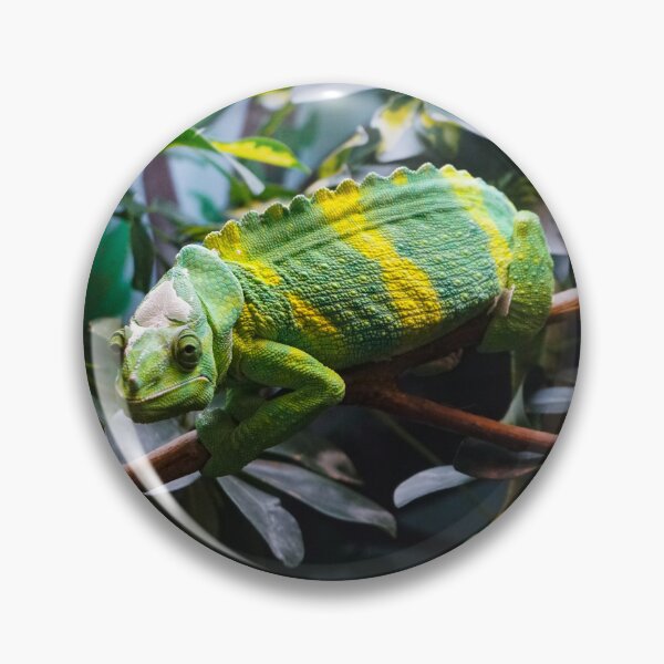 Artikelvorschau, Chameleon entworfen und verkauft von mesmerismarts.