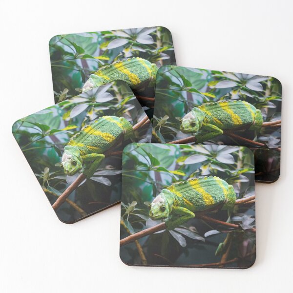 Item preview, Chameleon designed and sold by mesmerismarts.