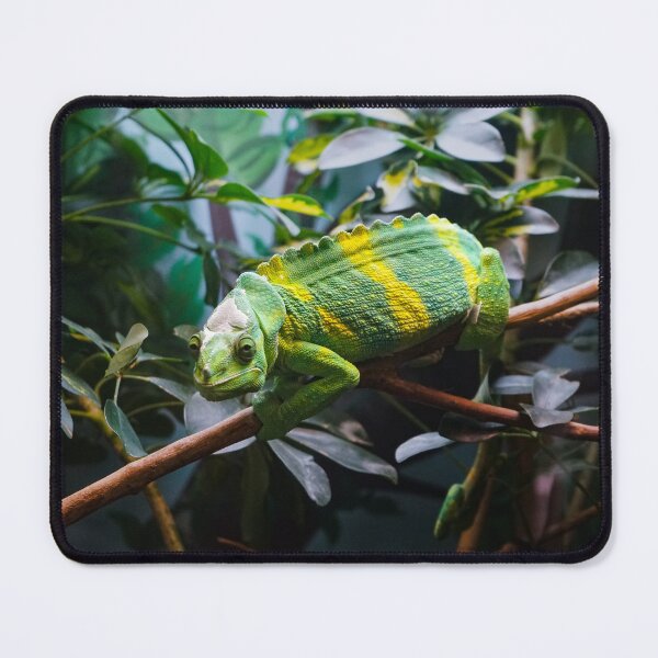Item preview, Chameleon designed and sold by mesmerismarts.