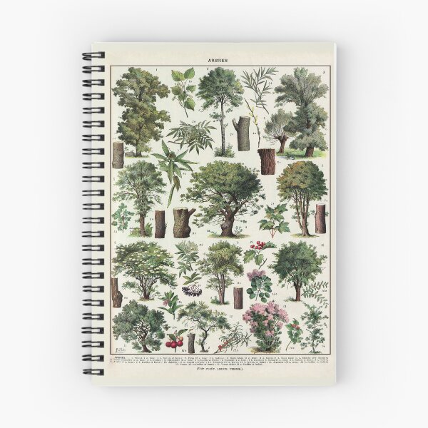 Item preview, Arbres 2 Vintage Illustration - Trees In Color by Millot designed and sold by molamode.