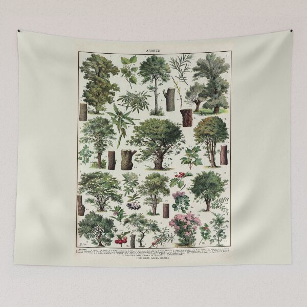 Item preview, Arbres 2 Vintage Illustration - Trees In Color by Millot designed and sold by molamode.