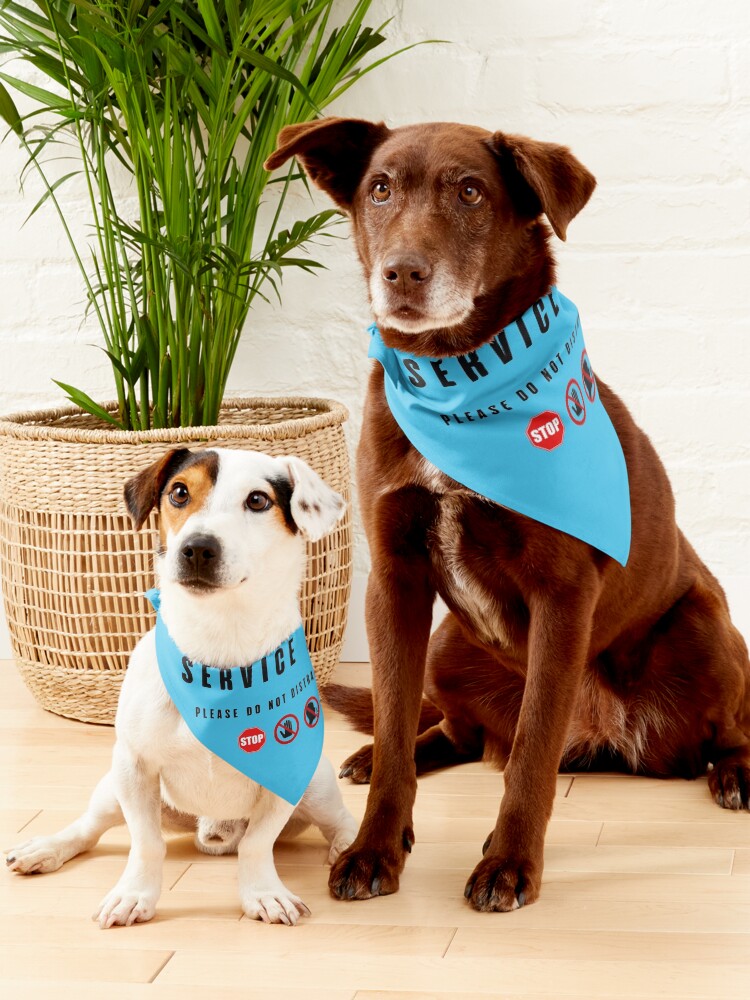 Service dog best sale in training bandana