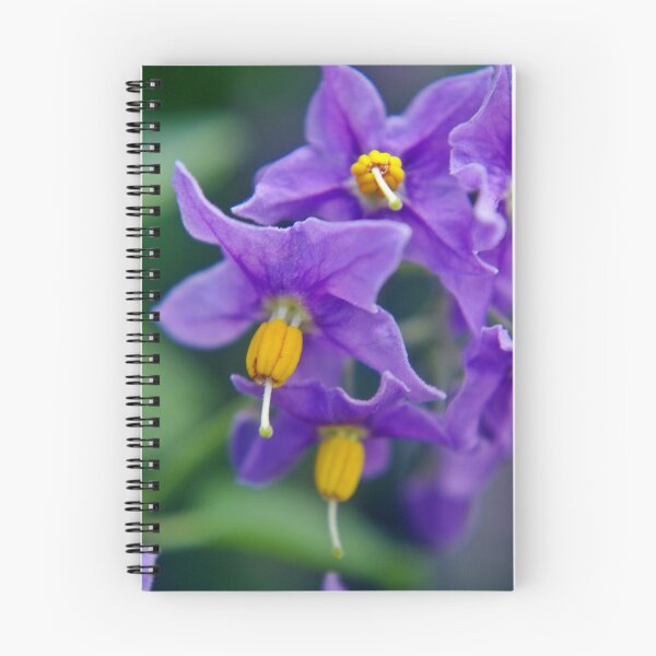 Item preview, Purple Solanum A designed and sold by VikingVisual.