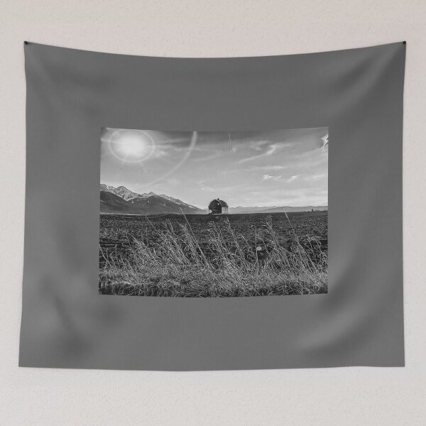 Aperçu de l'œuvre Lonely Barn - Black And White Classic créée et vendue par AlbaMante.