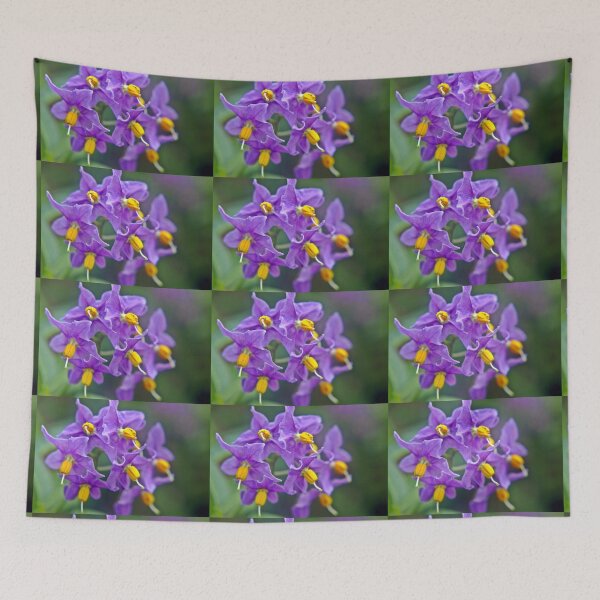 Item preview, Purple Solanum C designed and sold by VikingVisual.