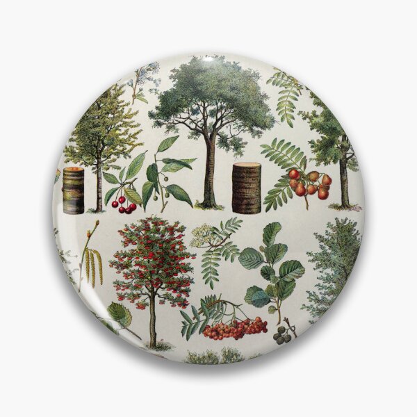 Item preview, Arbres 1 Vintage Illustration by Millot - Trees In Color French designed and sold by molamode.