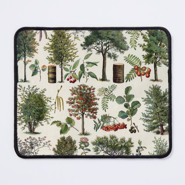 Item preview, Arbres 1 Vintage Illustration by Millot - Trees In Color French designed and sold by molamode.
