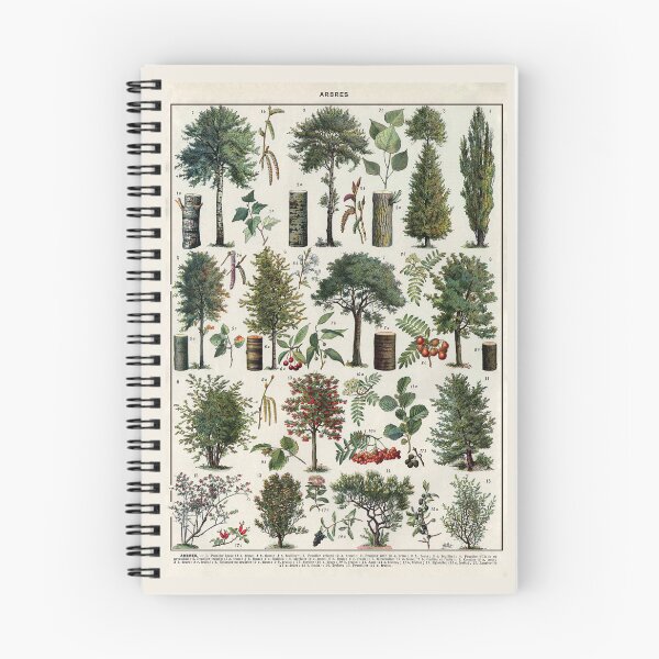 Item preview, Arbres 1 Vintage Illustration by Millot - Trees In Color French designed and sold by molamode.