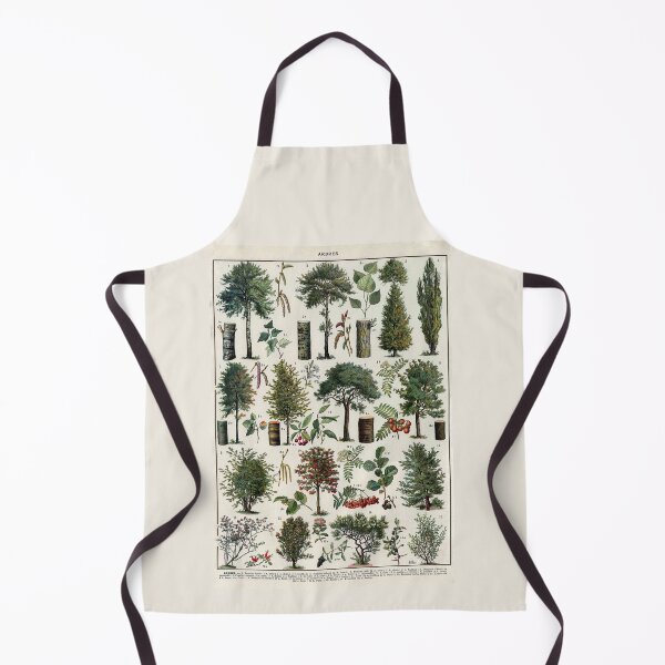 Item preview, Arbres 1 Vintage Illustration by Millot - Trees In Color French designed and sold by molamode.