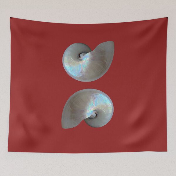 Item preview, Fibonacci Nautilusacci designed and sold by boomantique.