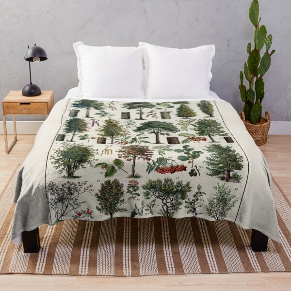 Item preview, Arbres 1 Vintage Illustration by Millot - Trees In Color French designed and sold by molamode.