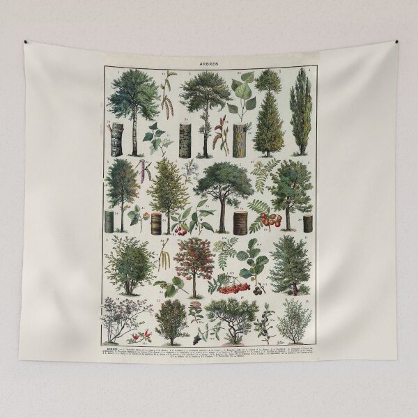 Item preview, Arbres 1 Vintage Illustration by Millot - Trees In Color French designed and sold by molamode.