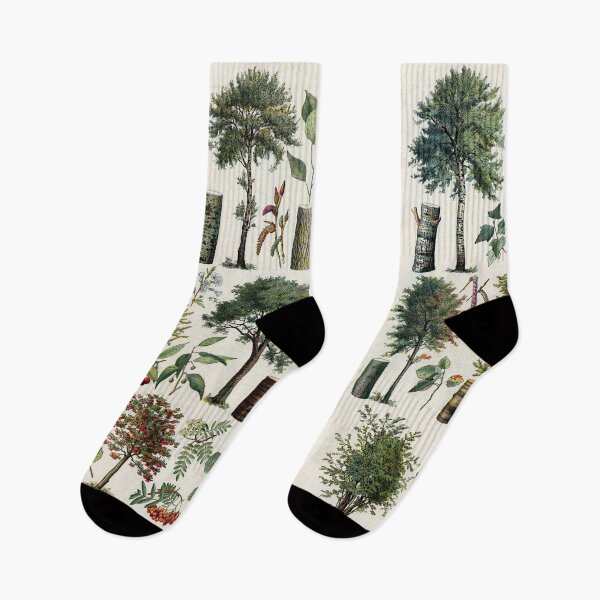 Item preview, Arbres 1 Vintage Illustration by Millot - Trees In Color French designed and sold by molamode.