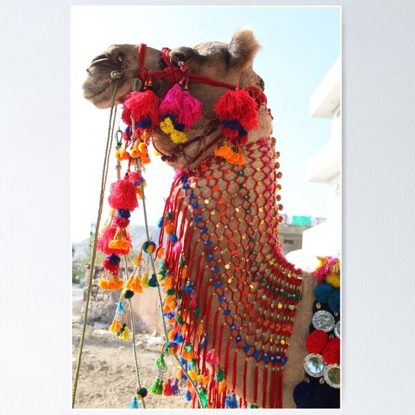 Item preview, Bittu the Camel with Camel Swag designed and sold by womanshopsworld.