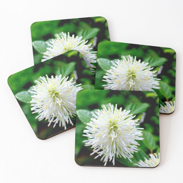 Item preview, White Starburst designed and sold by Vicky Walter.