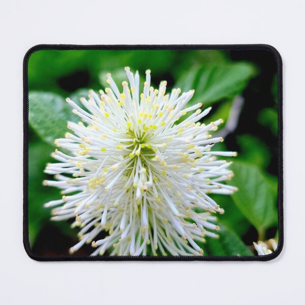 Item preview, White Starburst designed and sold by Vicky Walter.