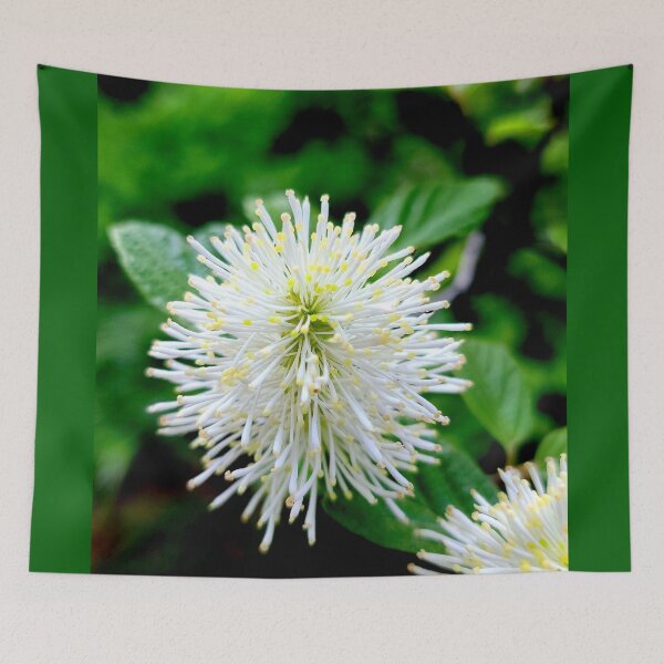 Item preview, White Starburst designed and sold by Vicky Walter.