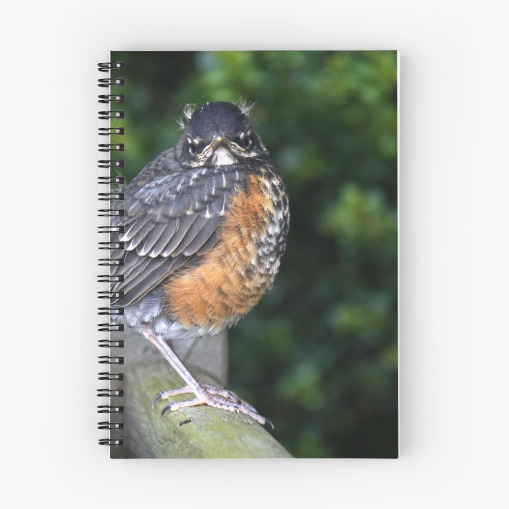 Item preview, Spiral Notebook designed and sold by StephVG.