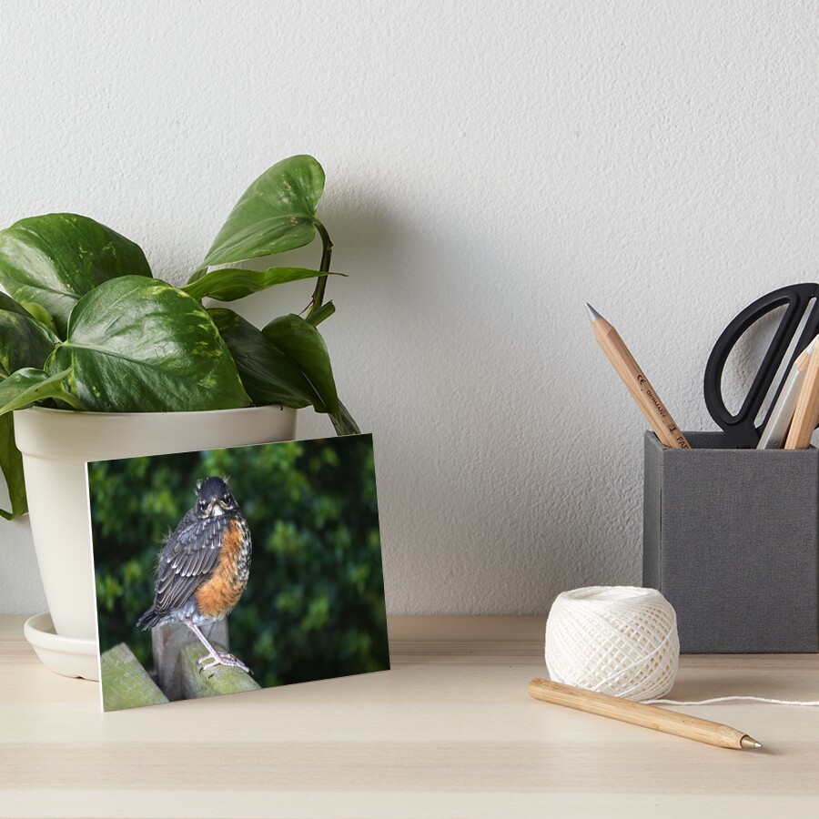 Item preview, Art Board Print designed and sold by StephVG.