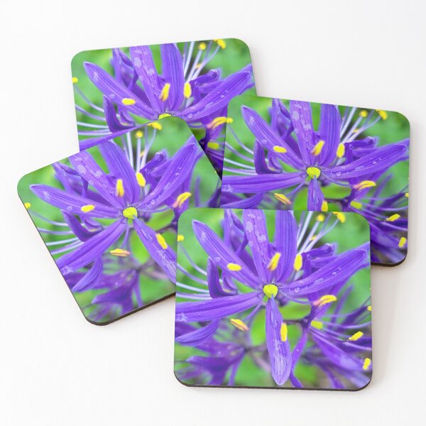 Item preview, Camash  designed and sold by Vicky Walter.