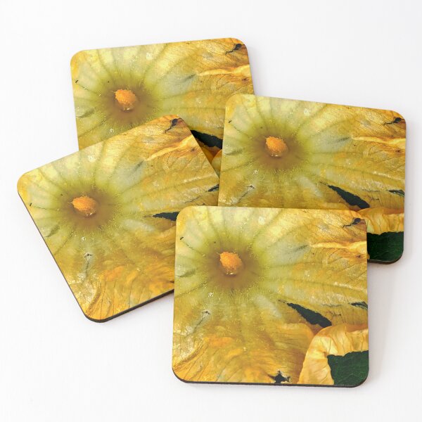 Item preview, Zucchini Flower  designed and sold by Geoff Treagus.