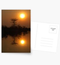 Okavango sunset Postcards