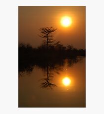 Okavango sunset Photographic Print
