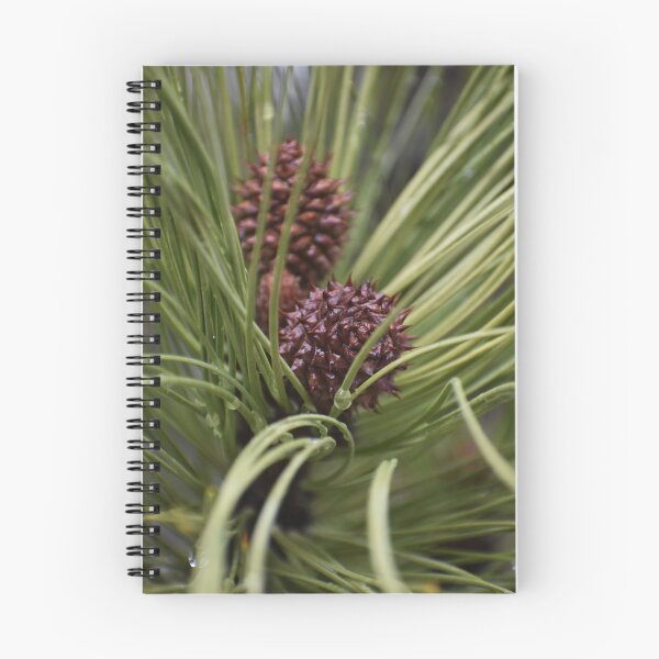 Artikelvorschau, Pine cones in bloom entworfen und verkauft von RJsphotography and More.