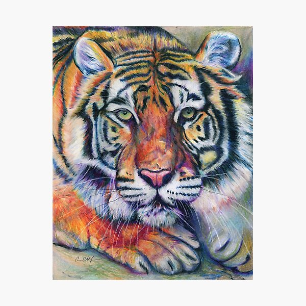 Colorful Tiger Photographic Print