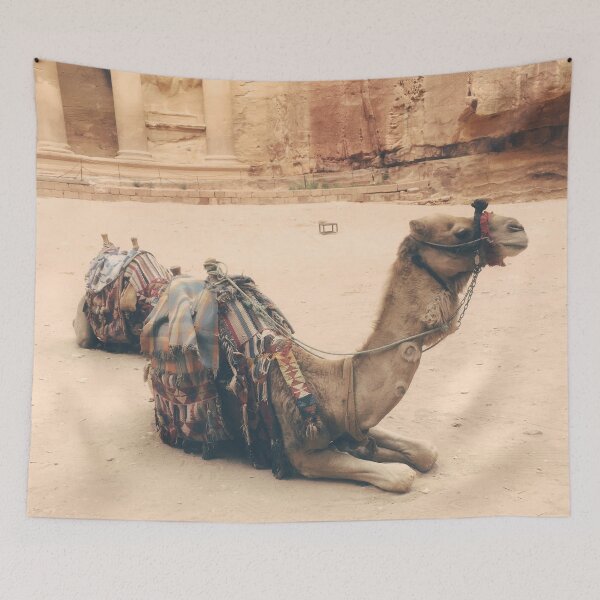 Item preview, Camels in Petra Photograph designed and sold by pommunist.