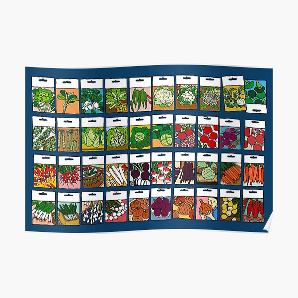 Vegetable seeds pattern Poster
