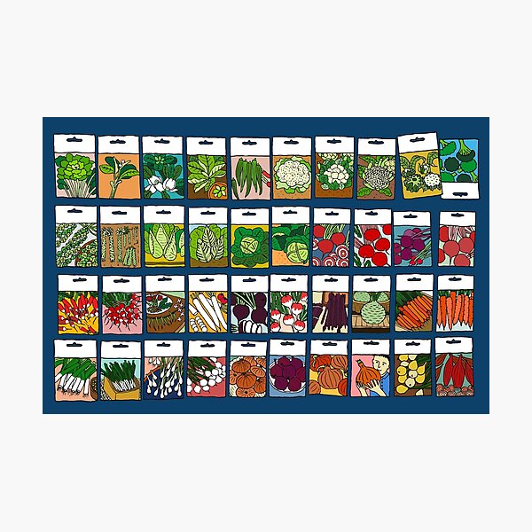 Item preview, Vegetable seeds pattern designed and sold by m-lapino.