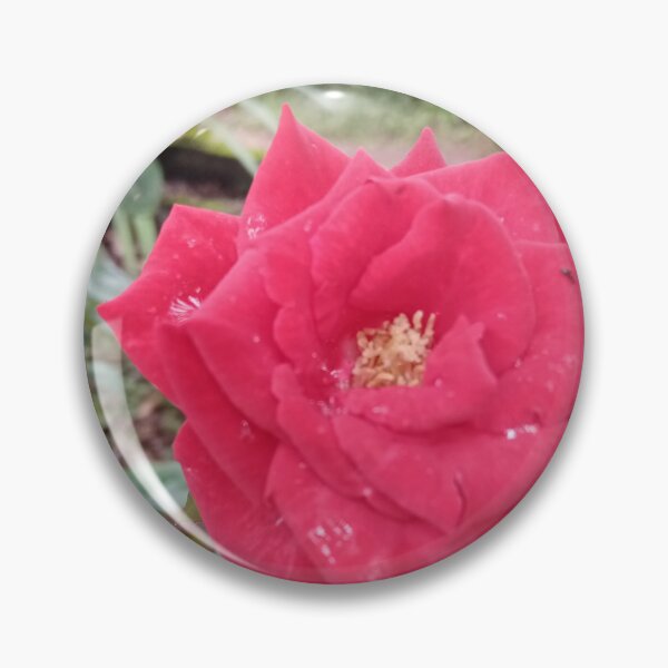 Item preview, Red Rose Flower Natural Photography Design designed and sold by DHAMMISTYLES.