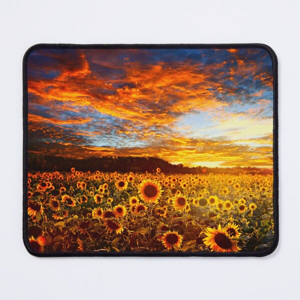 Item preview, Radiant Sunset Sunflower Field designed and sold by ChiweenieHobbit.