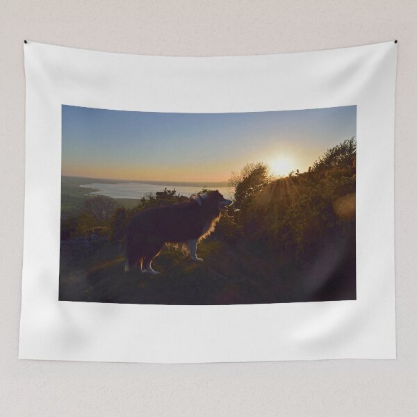 Item preview, Don't let the Sun go down on me. designed and sold by Michael Haslam.