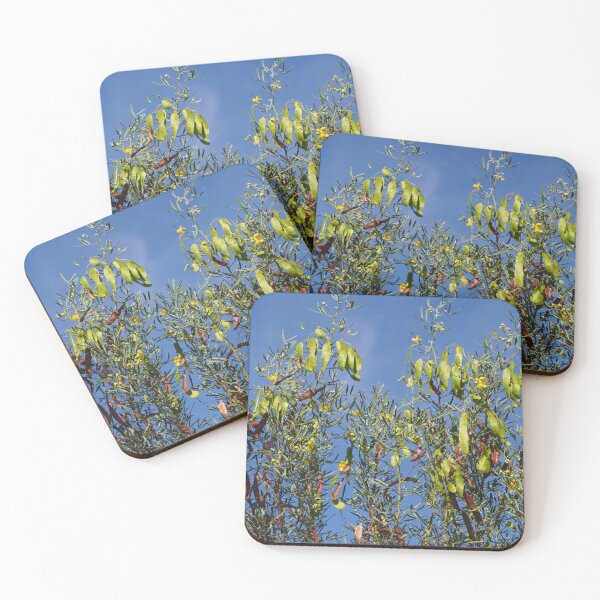 Artikelvorschau, Wattle Tree Top against Blue Sky entworfen und verkauft von Annalucia.